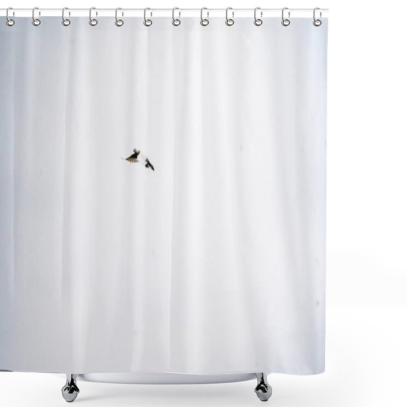 Personality  White Background , Pigeon Flying In The Sky, Flying Birds, Easily Separatable Subject, Can Be Used In Different Pictures Shower Curtains