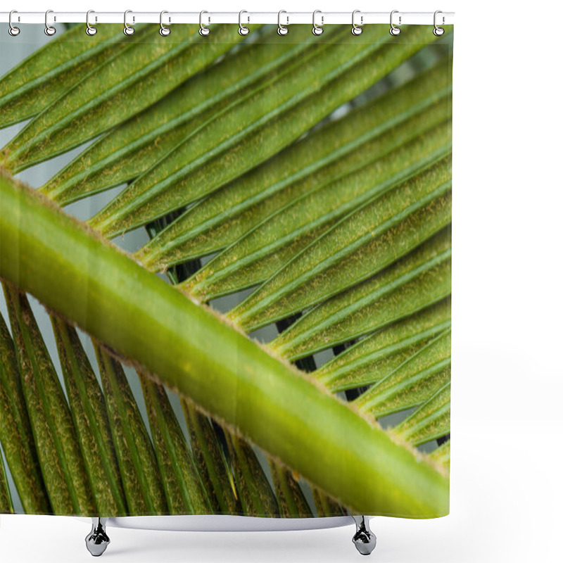 Personality  Close Up View Of Green Palm Leaf Shower Curtains