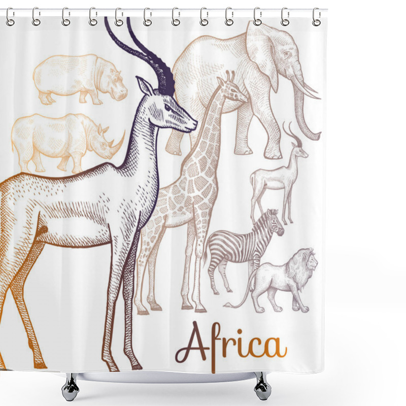 Personality  Illustration Of African Animals. Shower Curtains