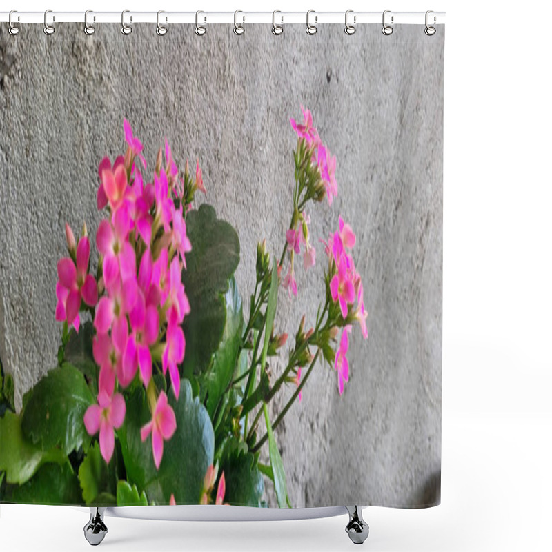 Personality  Pink Flowers With Rustic Wall Background Shower Curtains