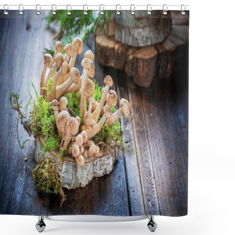 Personality  Group Of Wild Forest Mushrooms On Wooden Saw Cut Shower Curtains