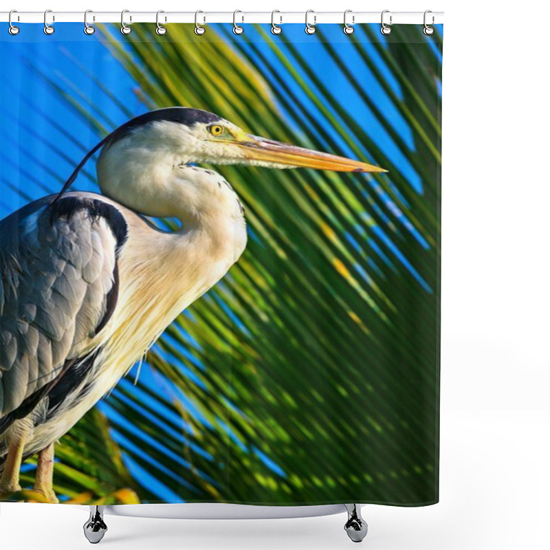 Personality  Heron Shower Curtains