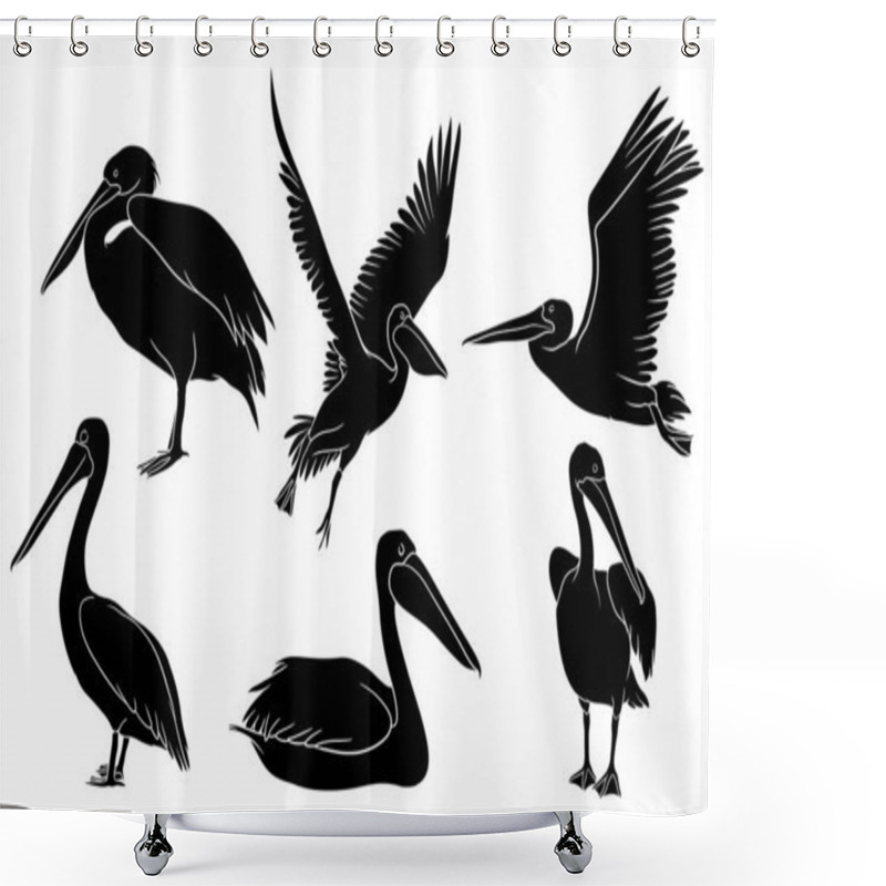 Personality  Hand Drawn Silhouette Of Pelican Shower Curtains