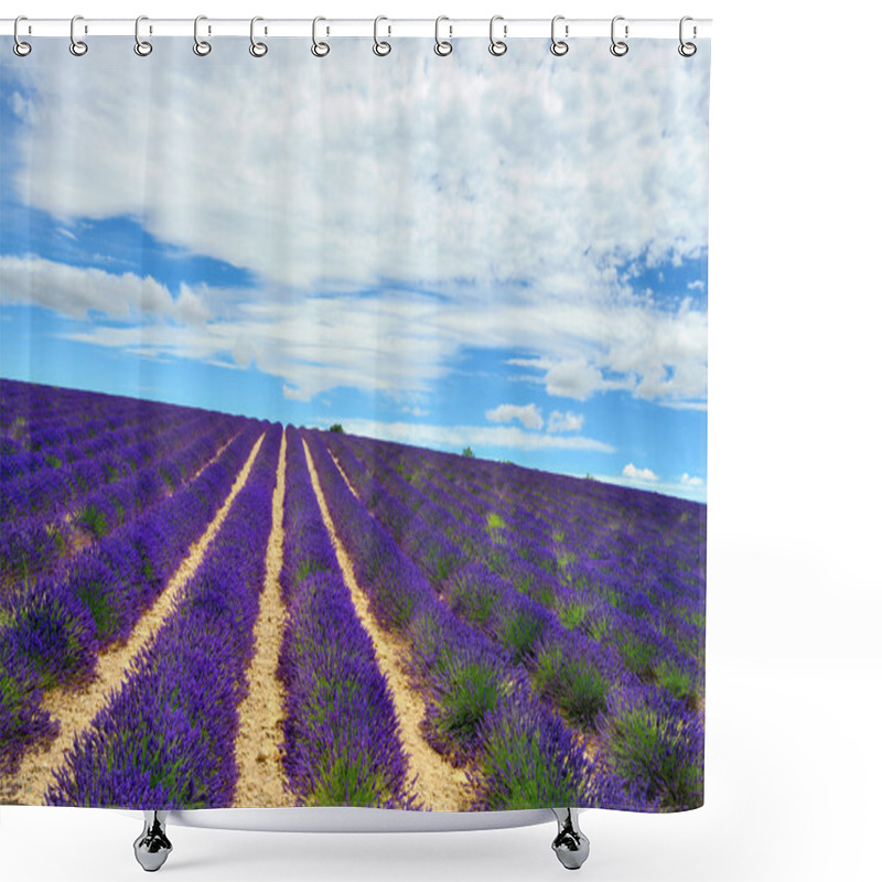 Personality  Provence, France Shower Curtains