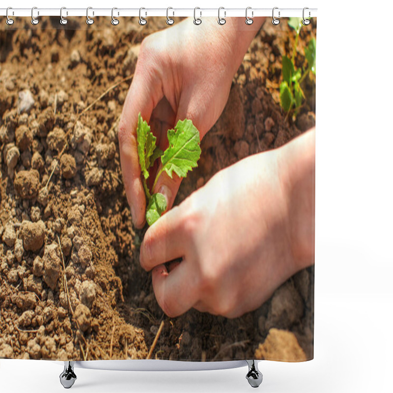 Personality  Detail On Young Woman Hands, Planting Green Seedling Small Plant Into Spring Soil Shower Curtains