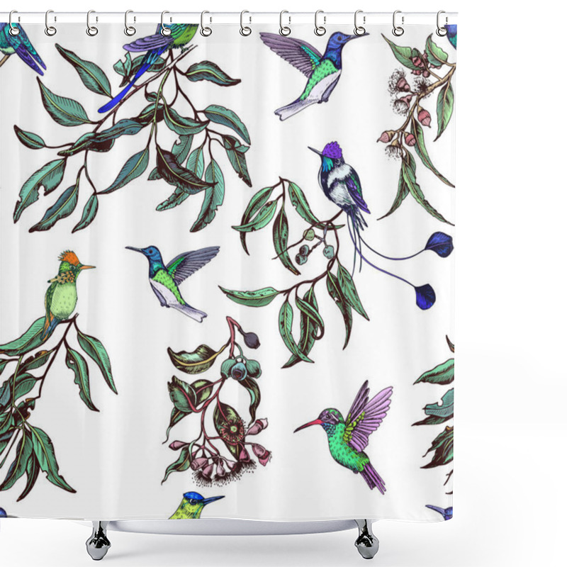 Personality  Sketch Hand Drawn Pattern With Hummingbirds, Vector Illustration Shower Curtains