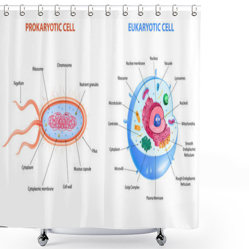 Personality  Realistic Cells Anatomy Shower Curtains