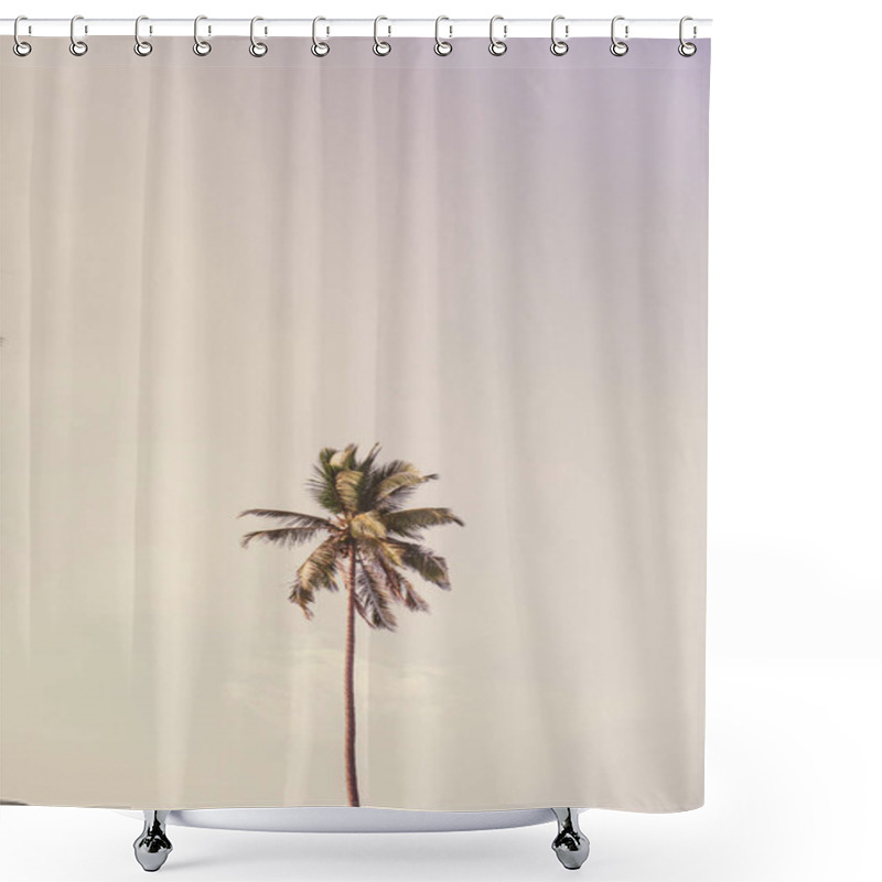 Personality  Lonely One Tropical Exotic Coconut Palm Tree Against Big Blue Sky. Neutral Background With Retro Bright Punchy Yellow And Purple Colors. Summer And Travel Concept On Phuket, Thailand. Shower Curtains