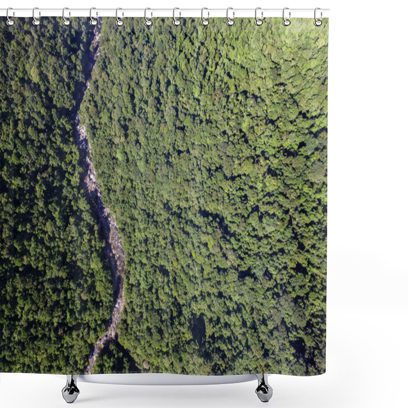 Personality  Pathway In A Rainforest, Brazil Shower Curtains