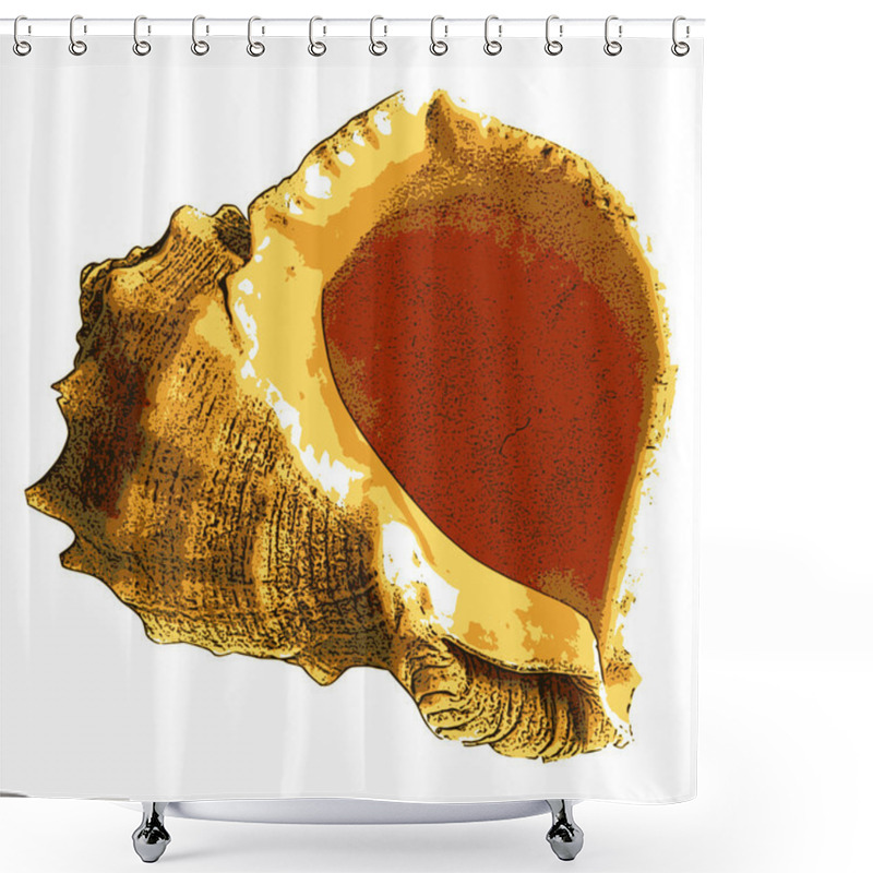 Personality  Sea Shell Shower Curtains