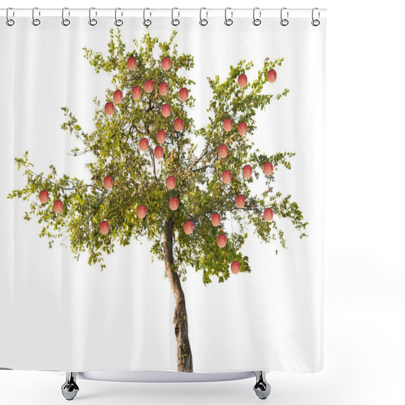 Personality  Green Apple Tree With Fruits Shower Curtains