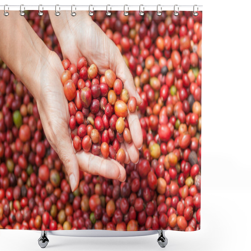 Personality  Red Berries Coffee Beans On Agriculturist Hand Shower Curtains