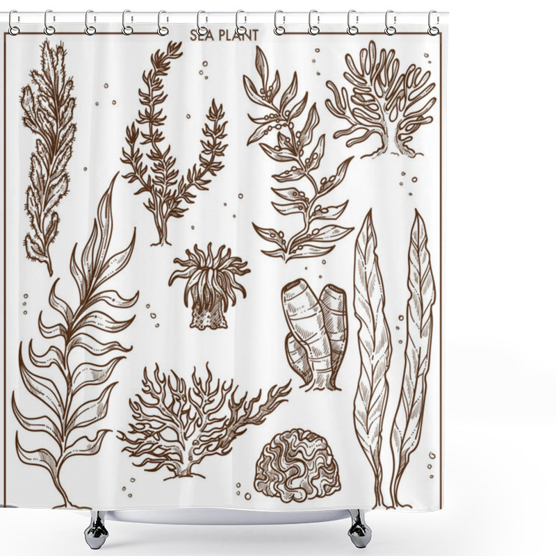 Personality  Sea Plants With Long Stems Or Hard Outer Surface. Common Seaweed, Deep Water Organisms And Sharp Corals. Underwater Vegetation Isolated Cartoon Monochrome Vector Illustrations Set On White Background. Shower Curtains