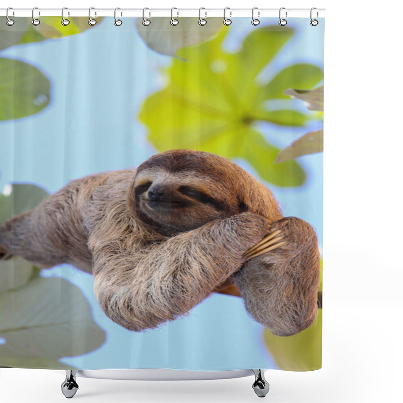 Personality  Happy Sloth Shower Curtains