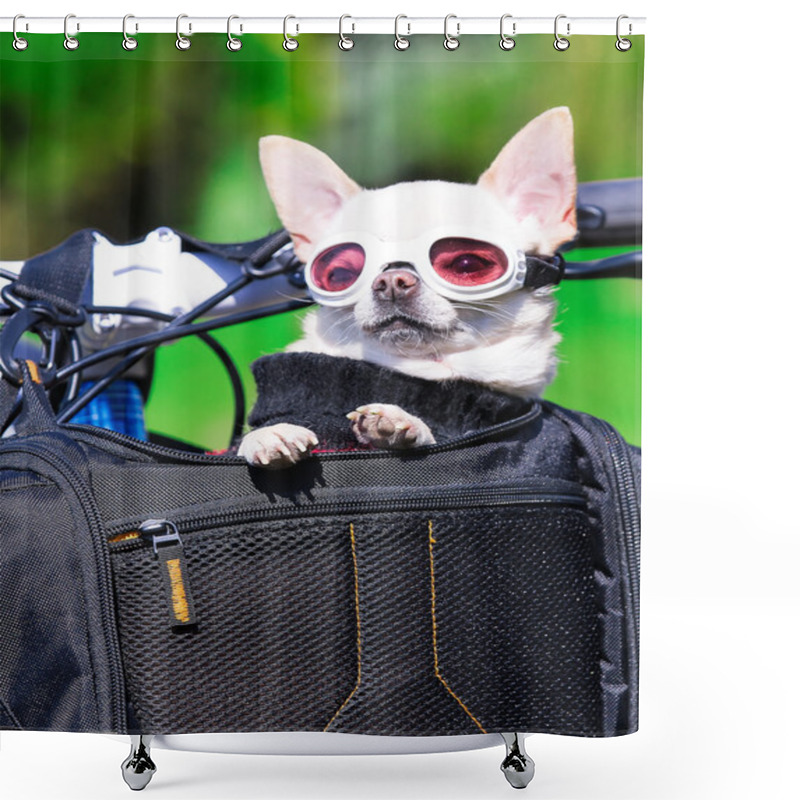 Personality  Funny Chihuahua Shower Curtains