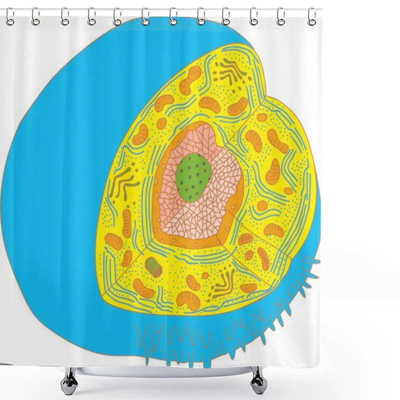 Personality  Of The Cell Shower Curtains