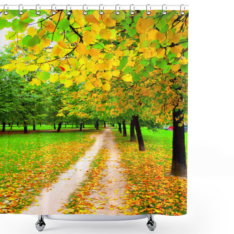 Personality  Beautiful Alley In Autumn Park Shower Curtains