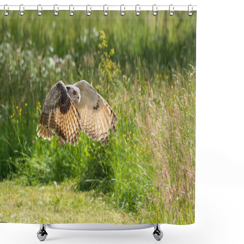 Personality  The Owl Flutters Its Wings And Flies Low Above The Ground. In The Background Is A Flowering Meadow. Shower Curtains