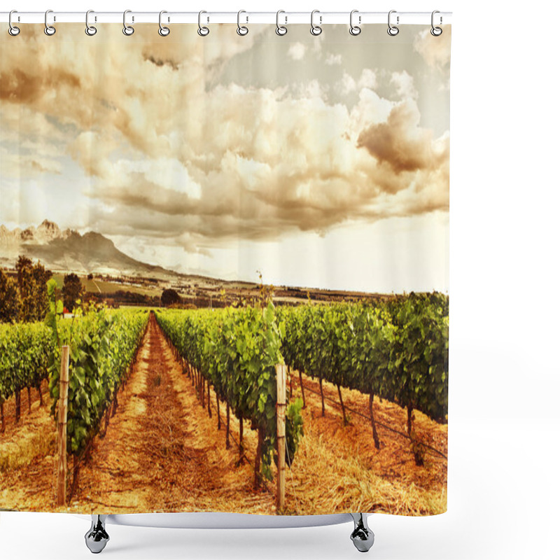 Personality  Beautiful Vineyard Shower Curtains