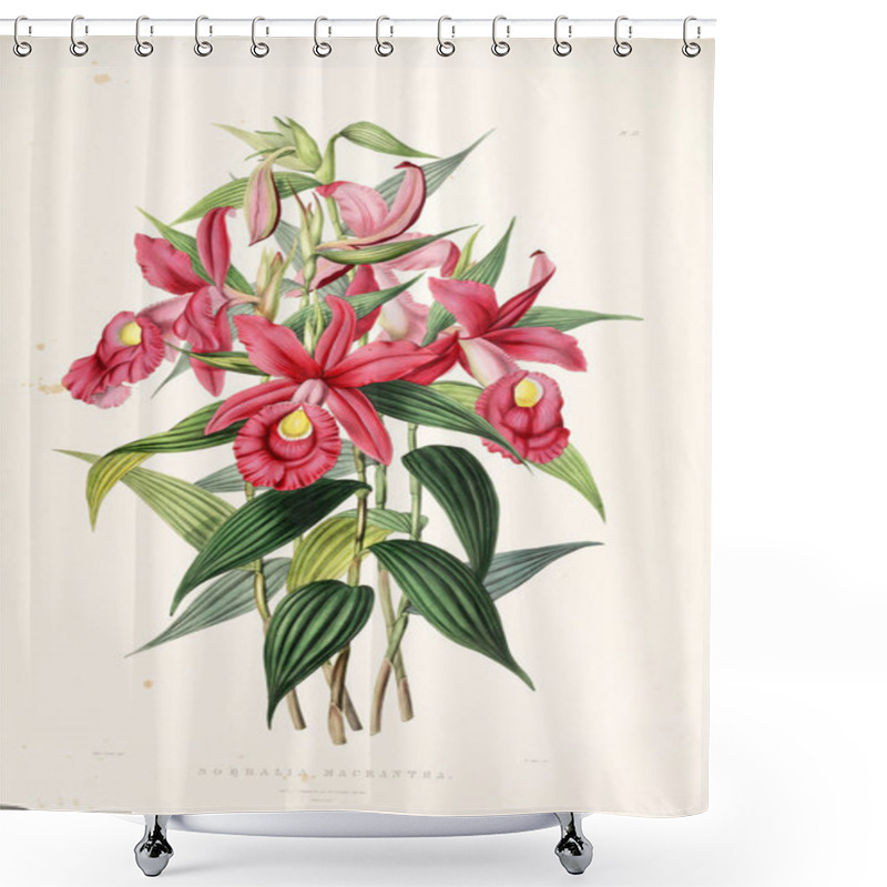 Personality  Illustration Of Flower. Old Image Shower Curtains