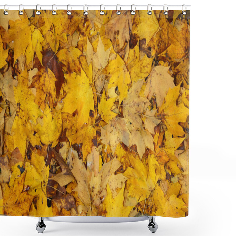 Personality  Autumn Leaves Shower Curtains