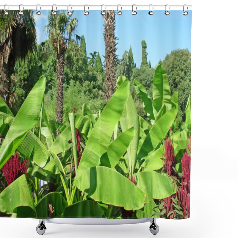 Personality  Jungle Shower Curtains