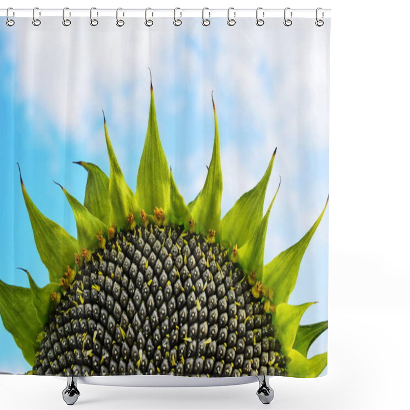 Personality  Sunflower Field Over Cloudy Blue Sky Shower Curtains