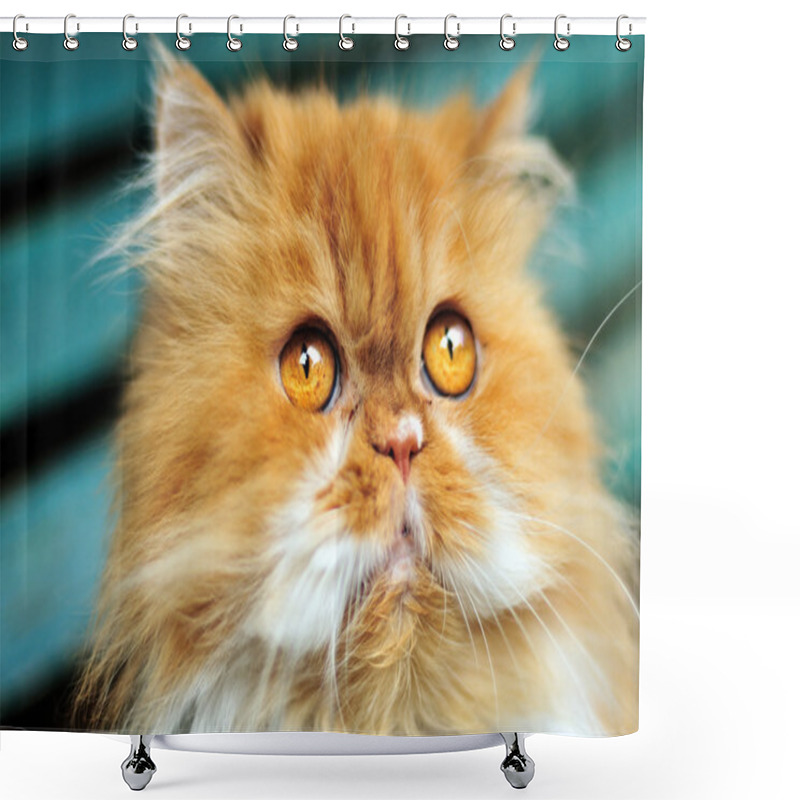 Personality  Persian Cat Shower Curtains