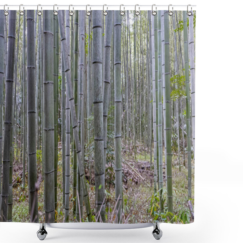 Personality  Close Up Of Bamboo Tree Trunks In The Bamboo Forest In Arashiyama, Japan On 28 September 2024 Shower Curtains