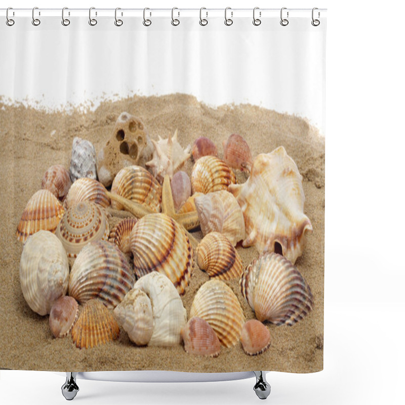 Personality  Seashells And Seastar Shower Curtains