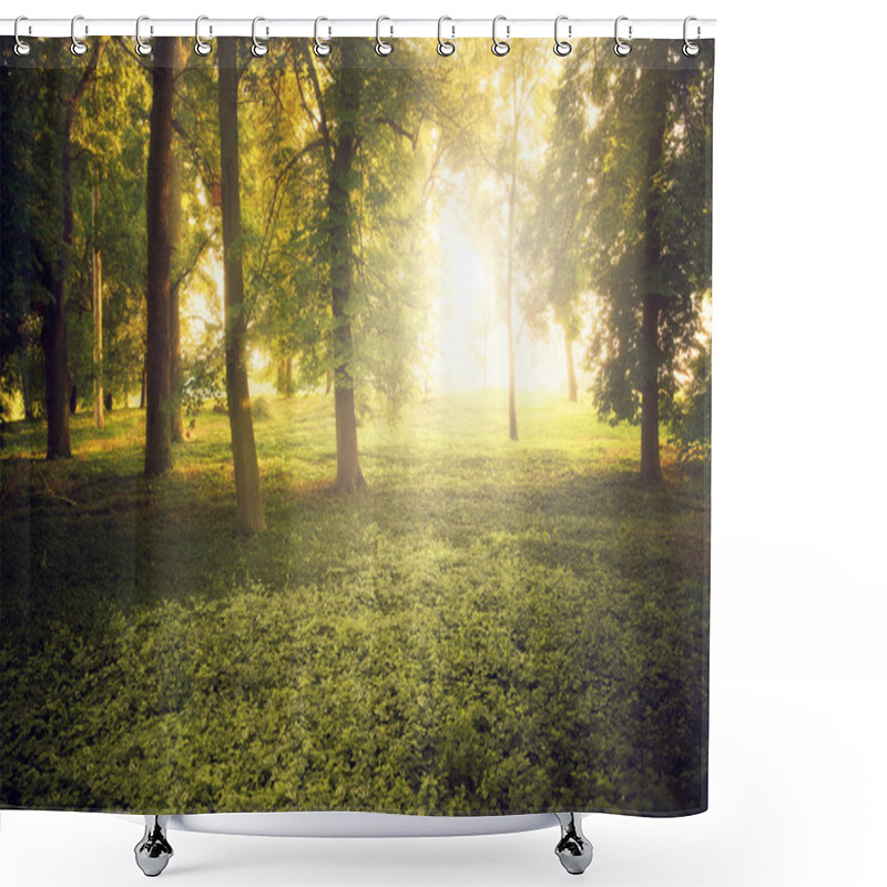 Personality  Sun's Rays And Trees Shower Curtains