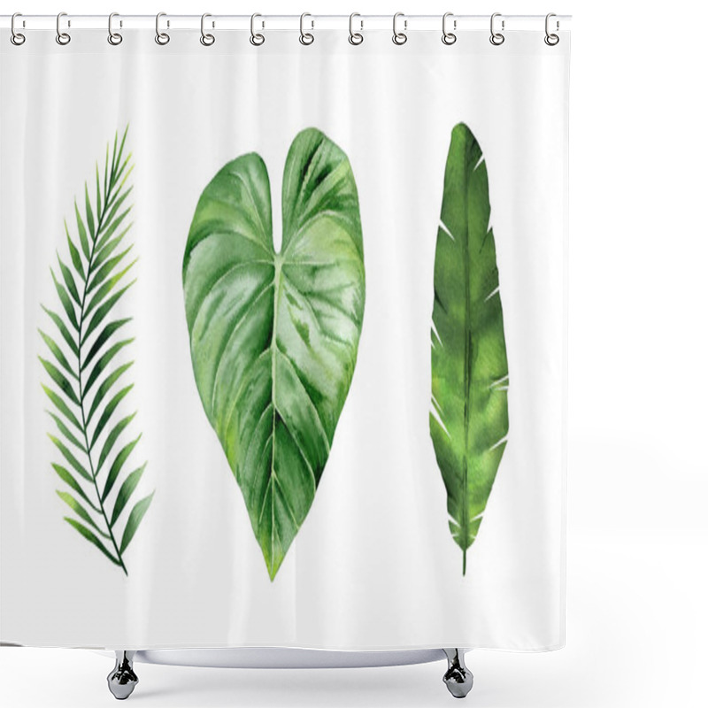 Personality  Tropical Palm Leaves. Plant Set. Exotic Leaf. Watercolour Illustration Isolated On White Background. Shower Curtains