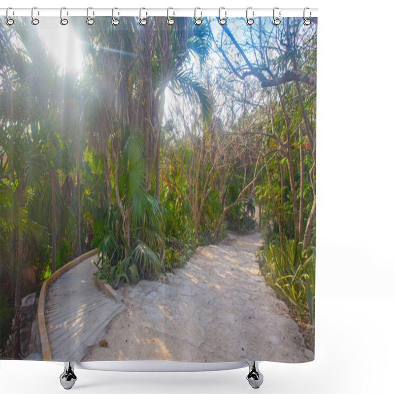 Personality  Early Morning In Park Near Tulum Ruins, Mexico Shower Curtains