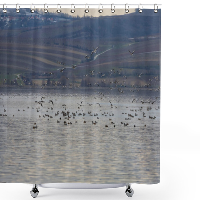 Personality  Ducks Swim On A Partially Frozen Lake. Palava In The Background. Shower Curtains