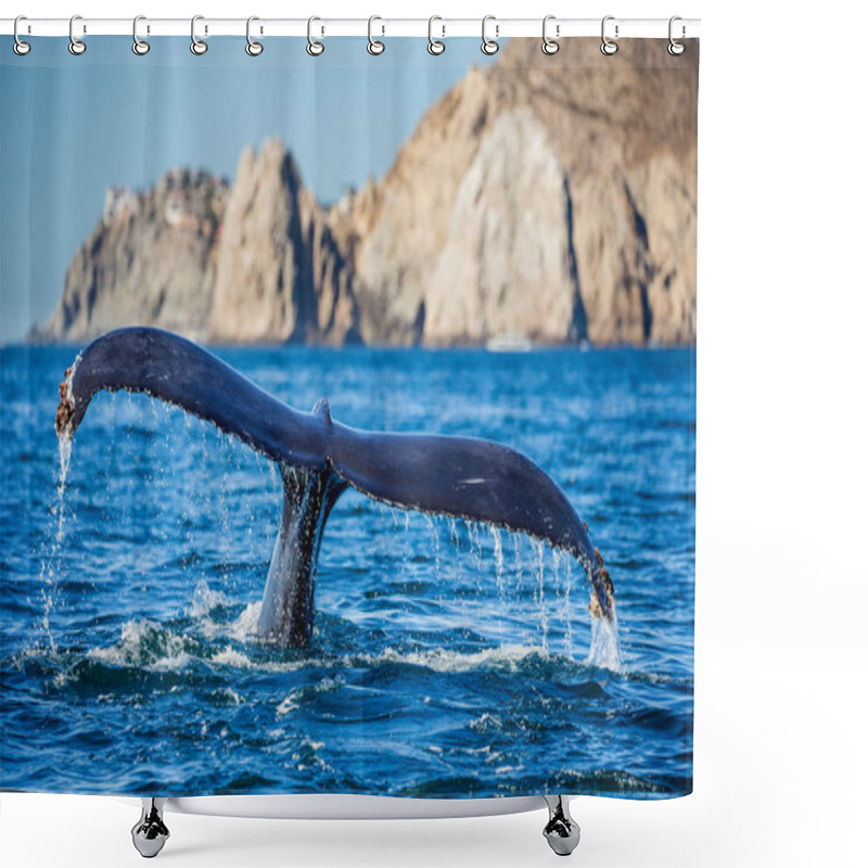 Personality  Tail Of Humpback Whale Shower Curtains