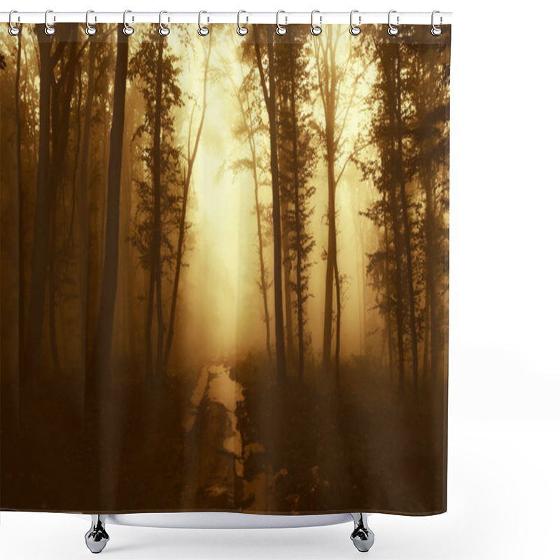 Personality  Autumn Sunset In Fantasy Forest, Misty Surreal Landscape Shower Curtains