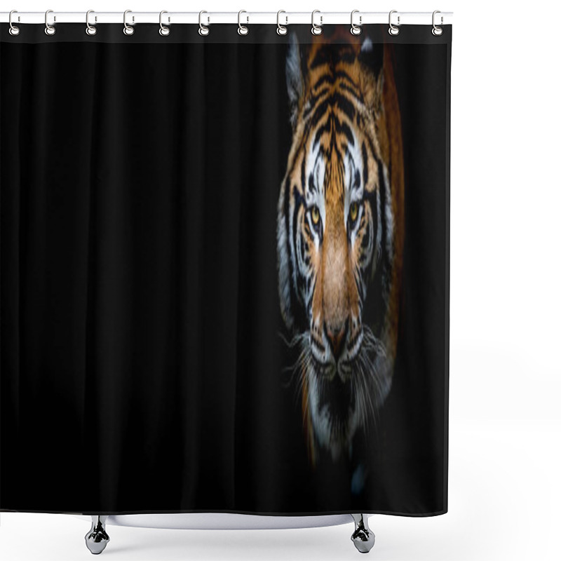 Personality  Tiger With A Black Background Shower Curtains