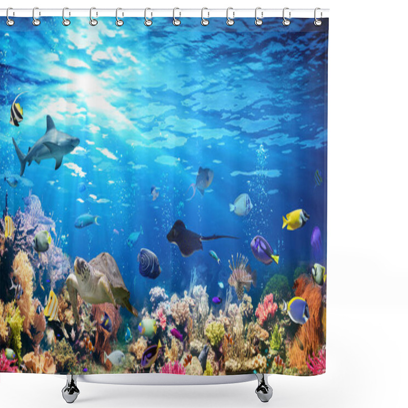 Personality  Underwater Scene With Coral Reef And Exotic Fishes Shower Curtains