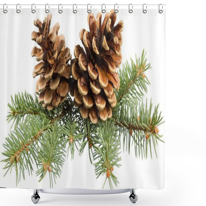 Personality   Pine Cones With Branch  Shower Curtains