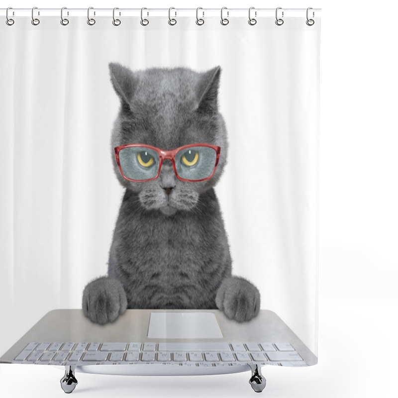 Personality  Cat Working On The Computer  Shower Curtains