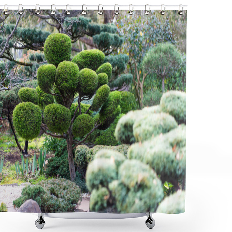 Personality  Japanese Landscape - Takedera - Hokokuji - Kamakura - Kanagawa. High Quality Photo Shower Curtains