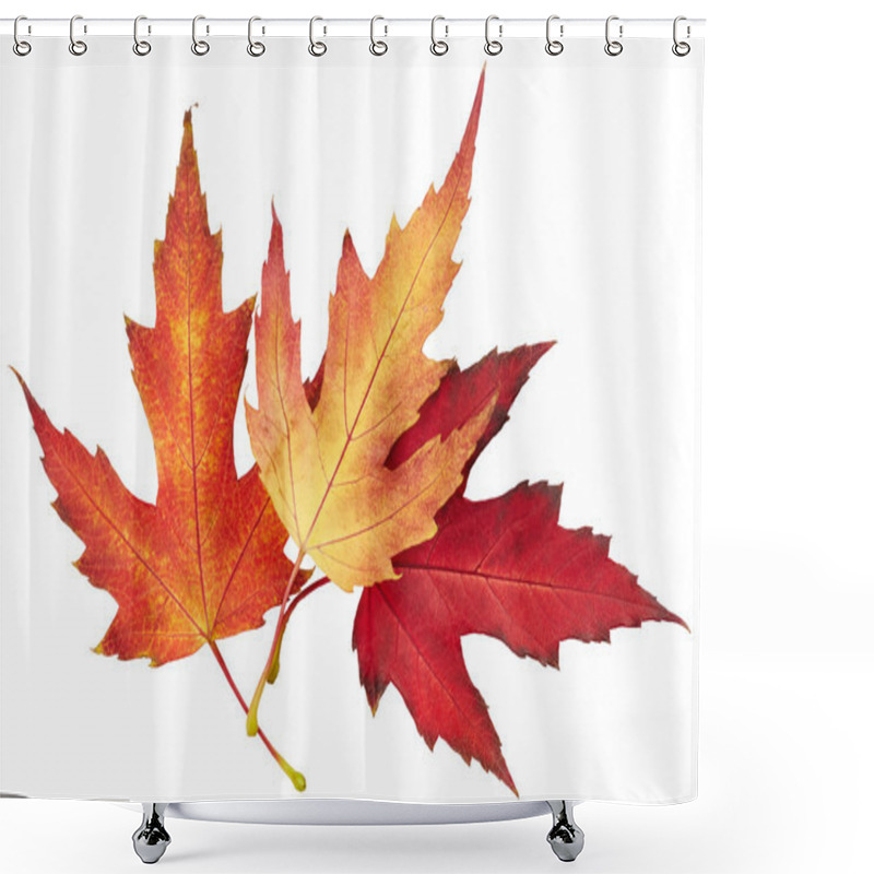 Personality  Maple Autumn Leaves Shower Curtains