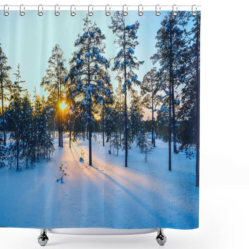 Personality  Winter Forest ,  Sun's Rays At Sunset. Shower Curtains