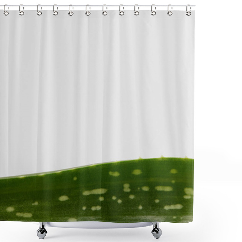 Personality  Closeup Shot Of Aloe Vera Leaf Isolated On White Background  Shower Curtains