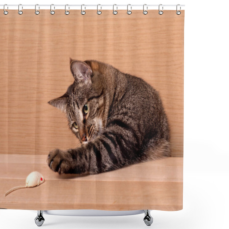 Personality  Big Tabby Cat Hunting On A Mouse Toy Shower Curtains