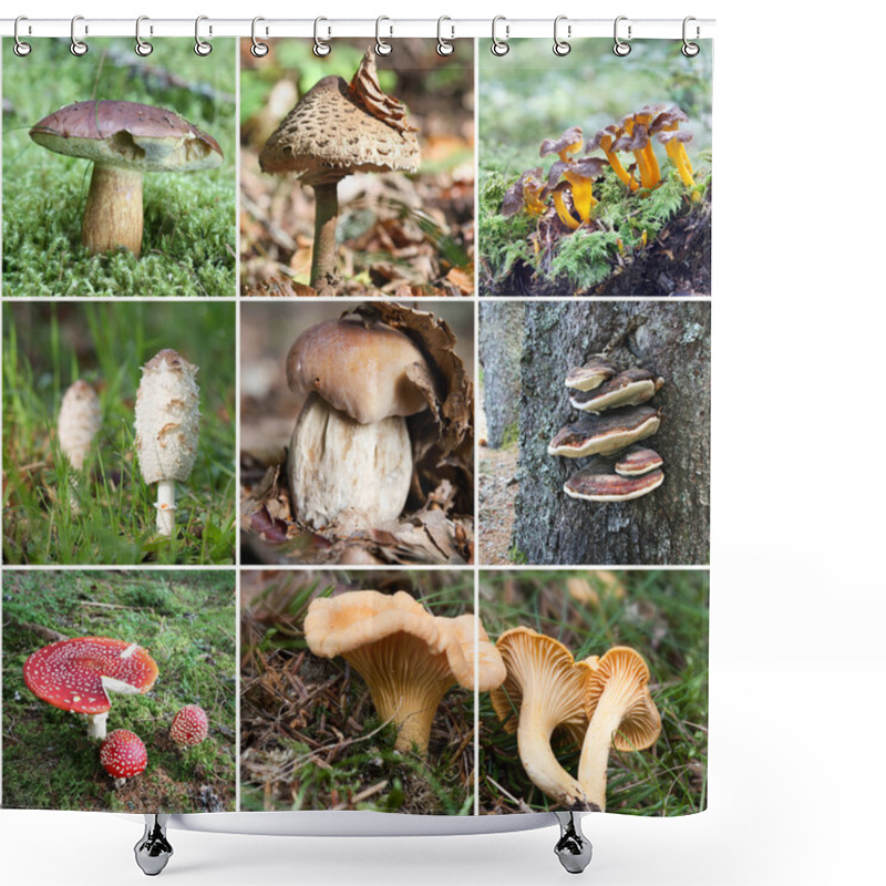 Personality  Mushroom Collage Shower Curtains