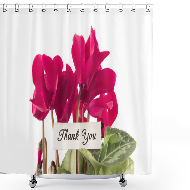 Personality  Thank You Card With Bouquet Of Cyclamens Shower Curtains