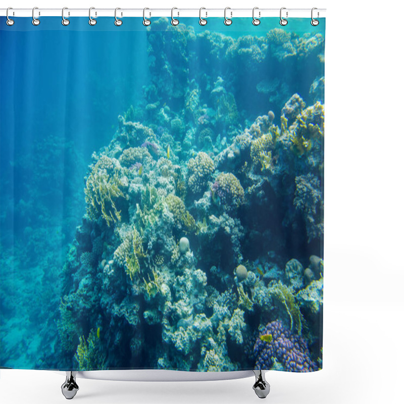 Personality  Coral Reef With Fish Of The Red Sea Shower Curtains