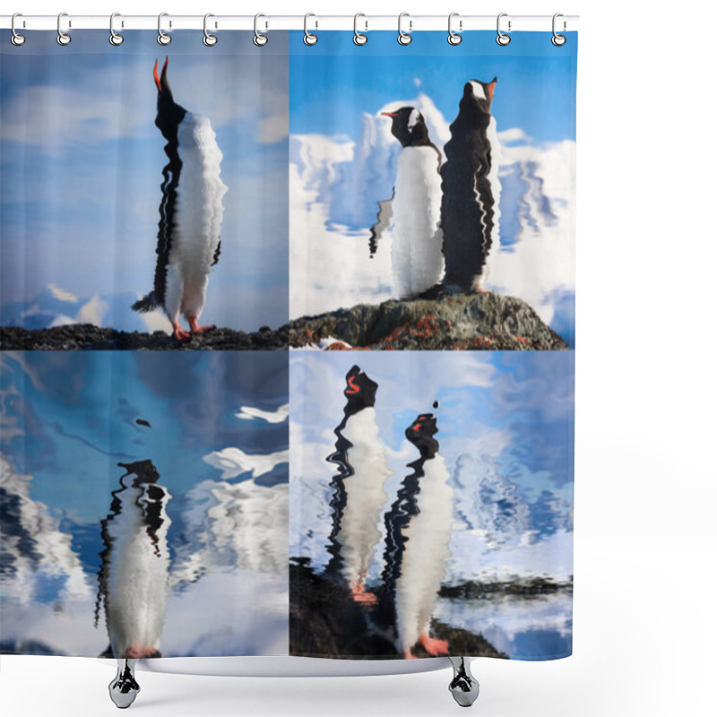 Personality  Penguins Reflected In Water Shower Curtains