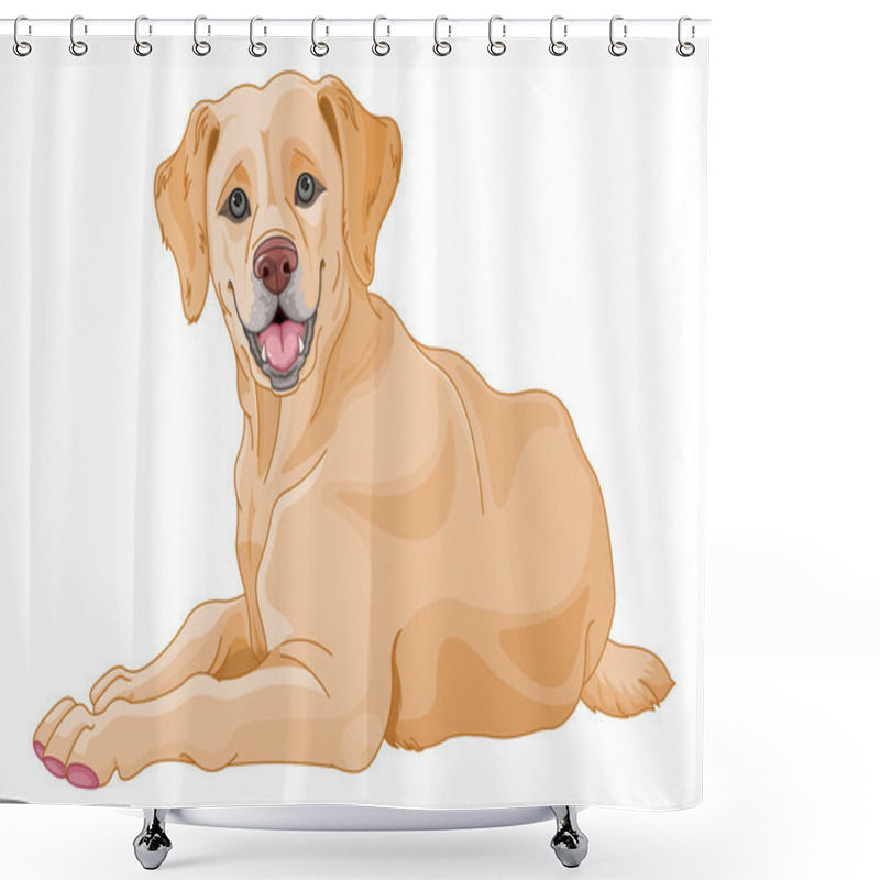 Personality  Cute Beige Labrador Shower Curtains